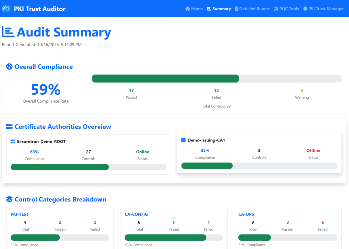 PKI Trust Auditor Summary